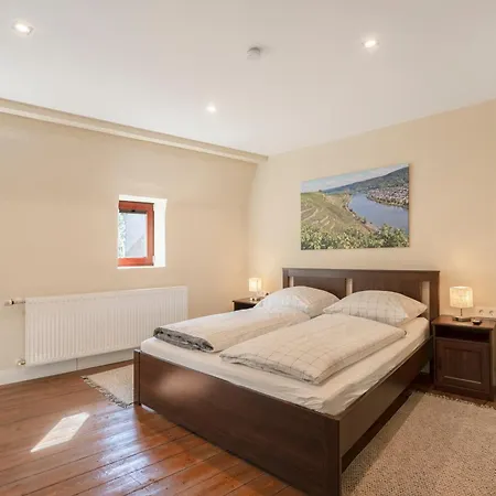 Apartman Alte Stadtvilla Weinberg 5 Traben-Trarbach